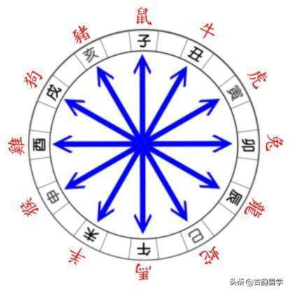 五行五脏六腑相生相克顺口溜三焦是指什么,中医五脏六腑的表里关系 五行五脏六腑相生相克顺口溜三焦是指什么,中医五脏六腑的表里关系