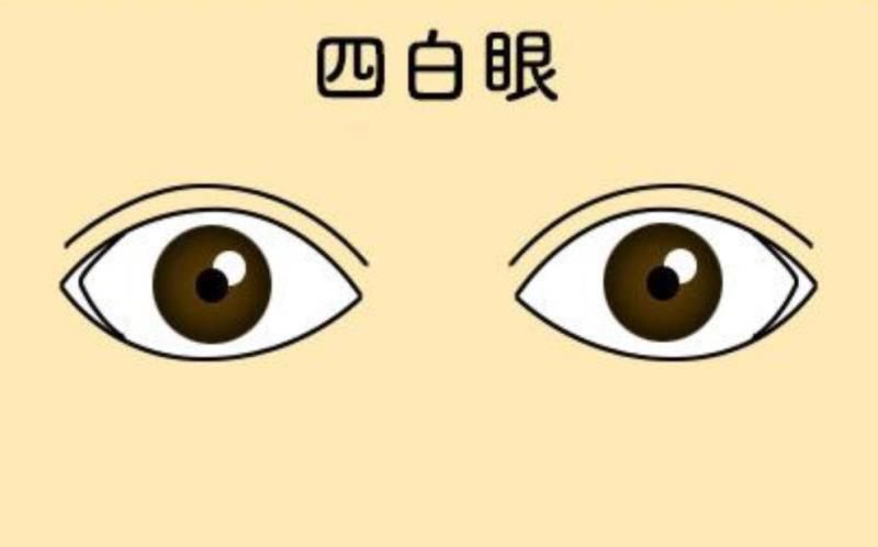 属虎属羊千万不能在一起工作,羊和虎在一起对谁不利