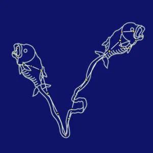 十二星座月份正确农历图片,农历星座查询表