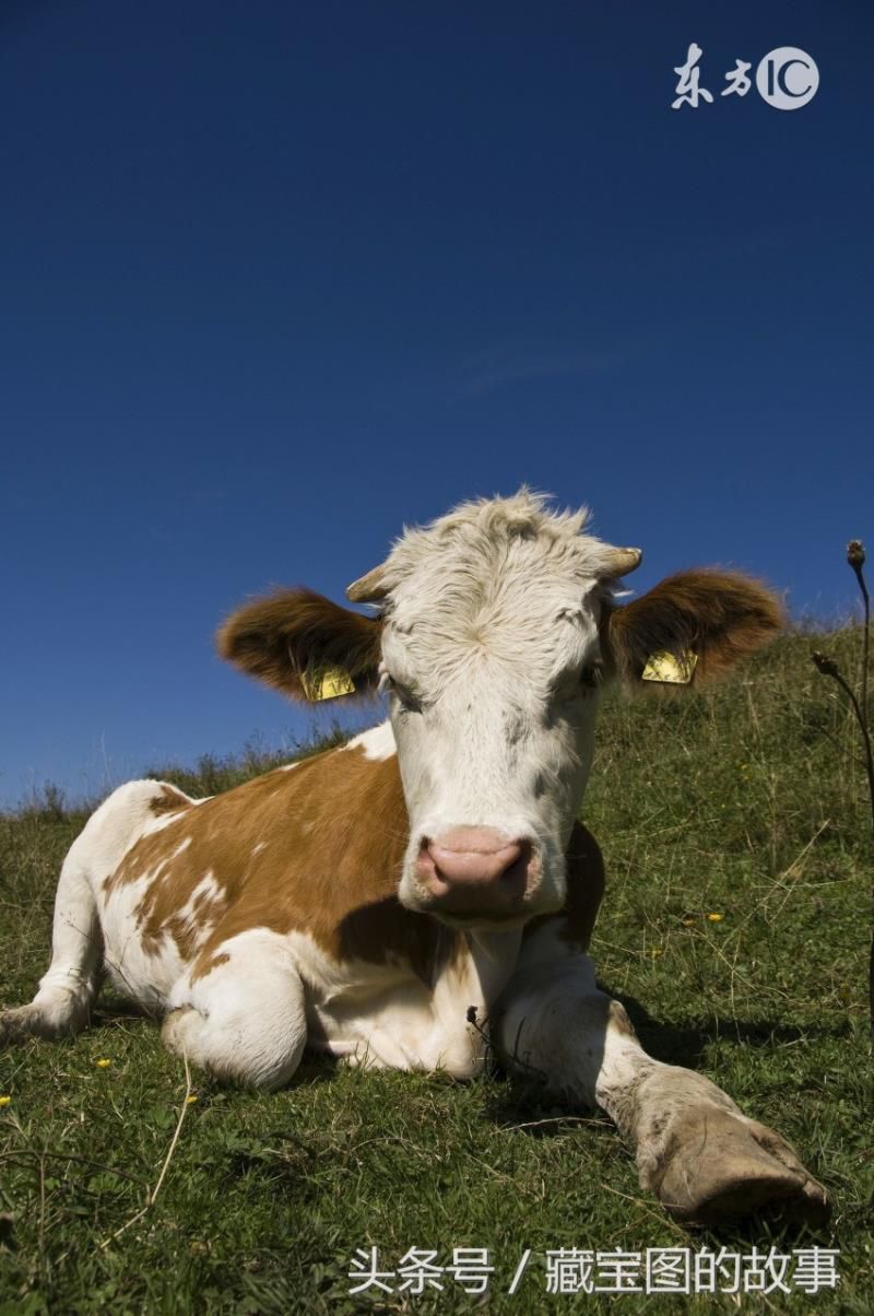 金银财宝随手来是指什么生肖,金银财宝随手拿一生肖 金银财宝随手来是指什么生肖,金银财宝随手拿一生肖