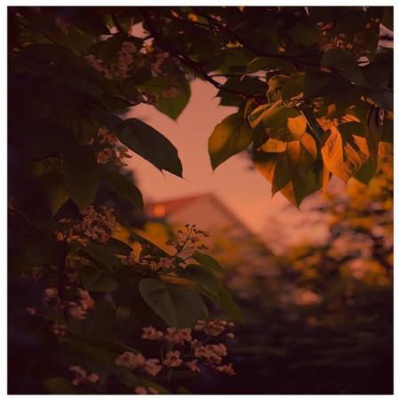 70后成熟稳重的网名男,70后网名大全中年男人