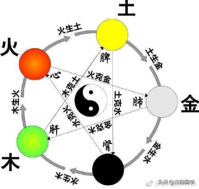 五行五脏六腑相生相克顺口溜三焦是指什么,中医五脏六腑的表里关系 五行五脏六腑相生相克顺口溜三焦是指什么,中医五脏六腑的表里关系