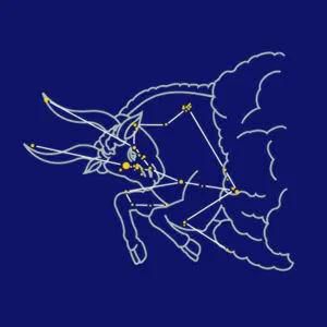 十二星座月份正确农历图片,农历星座查询表