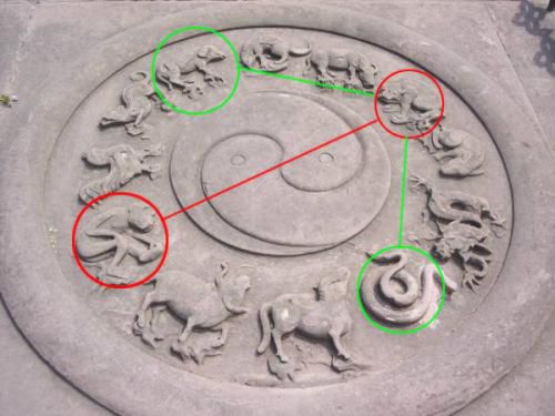 子午相冲是什么生肖打一生肖,子午相冲主要会发生什么