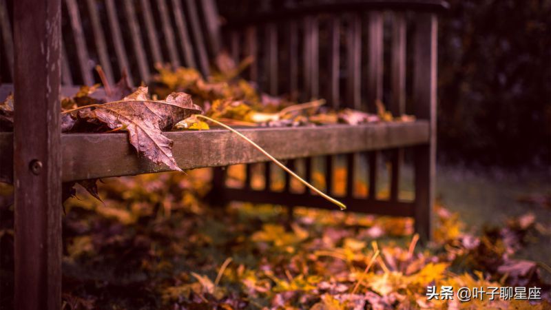 满眼都是水瓶女的星座男,水瓶女hold不住的星座男