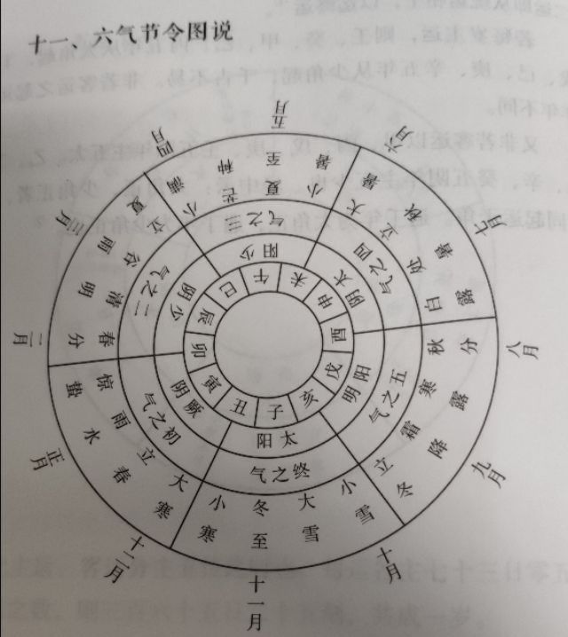 2022五运六气详解与应用,五运六气看病步骤