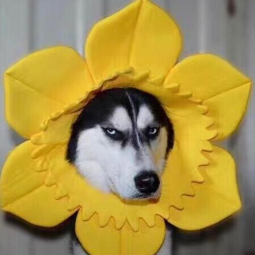 2个字的霸气带杀气的名字男,男生超拽高冷二字