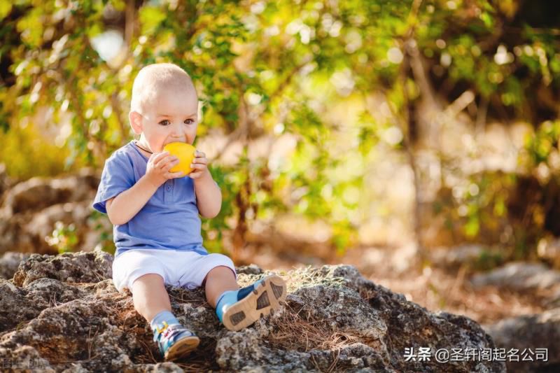 男孩姓名大全20000个2022,男孩聪明才华横溢的名字