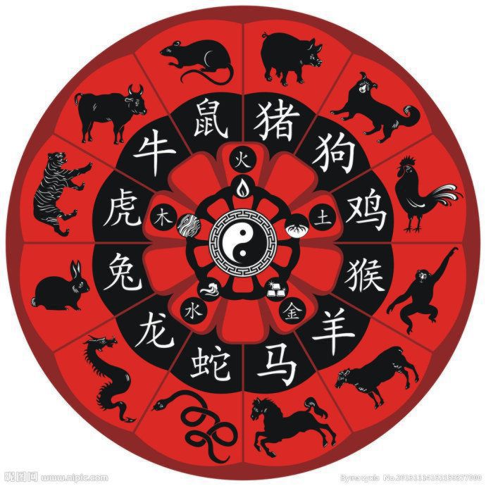 子午相冲是什么生肖打一生肖,子午相冲主要会发生什么