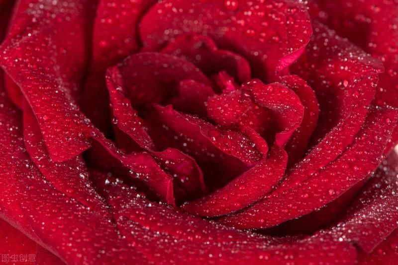 征服射手男最狠的办法知乎,射手男心疼哪一种女生