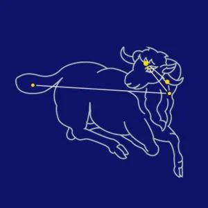 十二星座月份正确农历图片,农历星座查询表