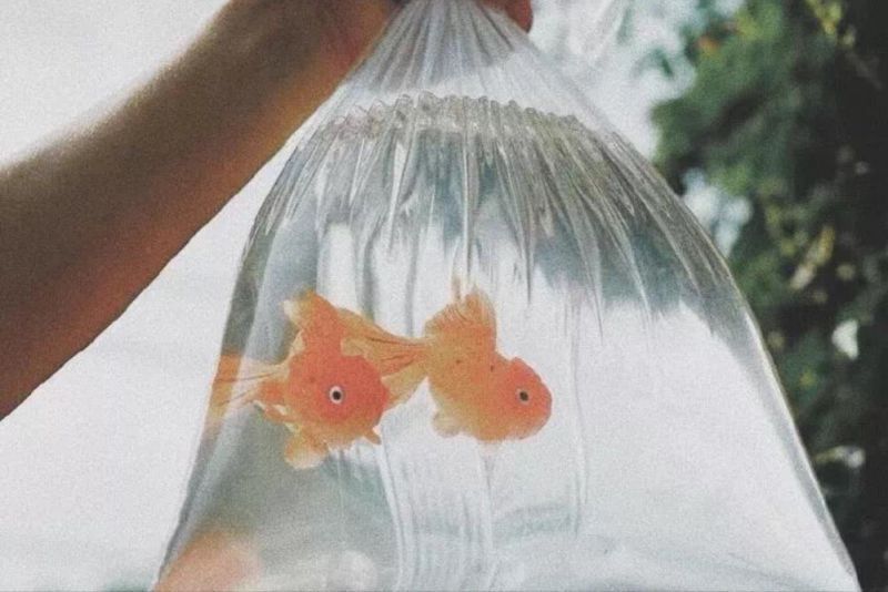 拥有“致命魅力”的星座女，美得特别，不仅外表出色灵魂更有深度