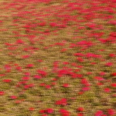 好听高雅又聚财的微信名字男人,取什么微信名字招财