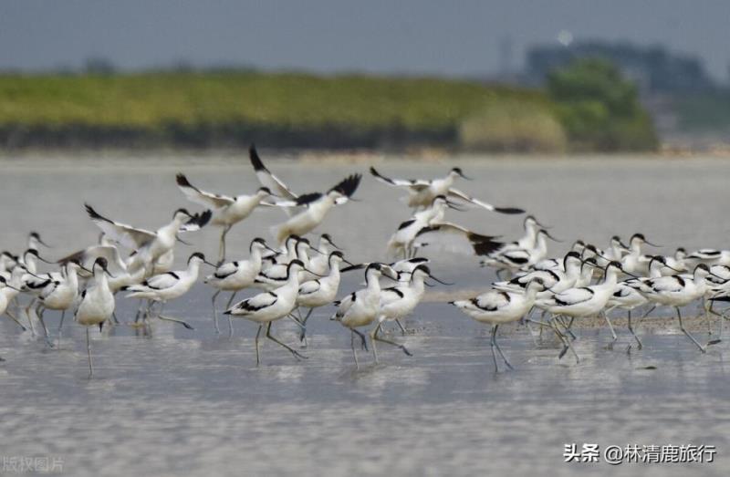 北海养老怎么选？看本文就够了！有钱来银海，没钱来合浦