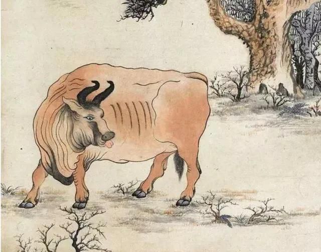 农村老话说“白马怕青牛”，牛和马结婚不幸福吗？