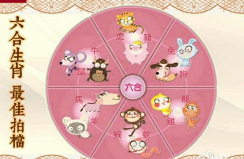 生肖运程:属马人的婚姻及人际缘分