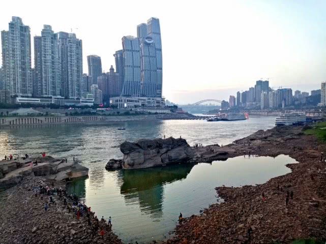 重庆网红“神龟”浮出江面，穷小伙拾得小神龟从此荣华富贵
