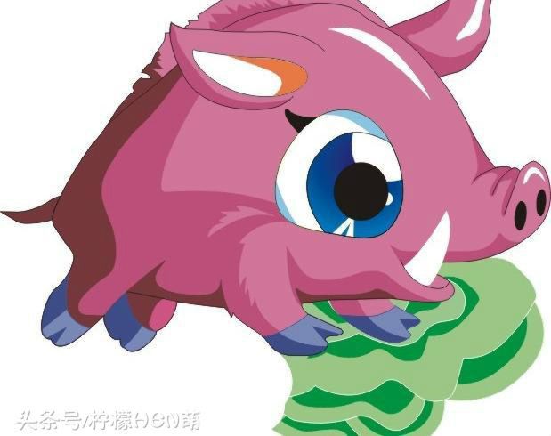 收藏！十二生肖歇后语大全及答案，留给孩子学习用