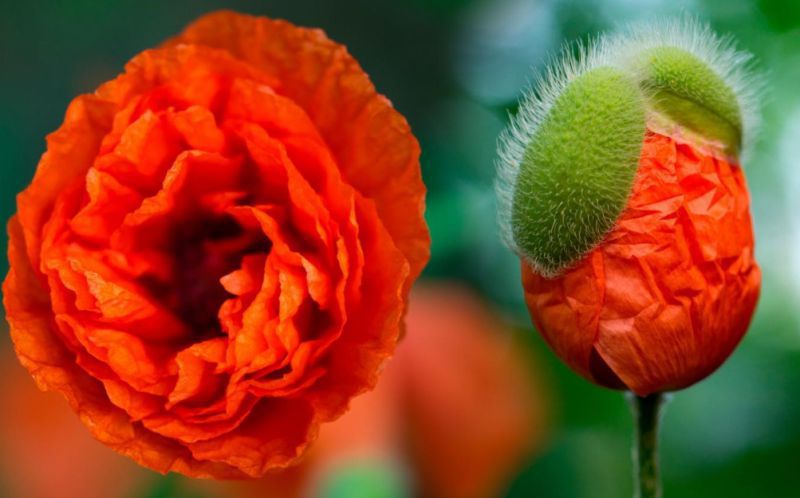 未来三个月，4个星座女，飞上枝头变凤凰，涅槃之后，迎来大发展