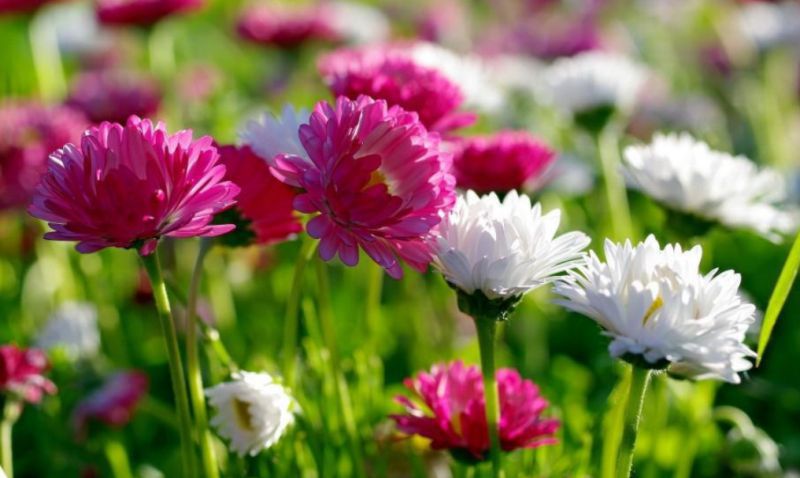 未来三个月，4个星座女，飞上枝头变凤凰，涅槃之后，迎来大发展