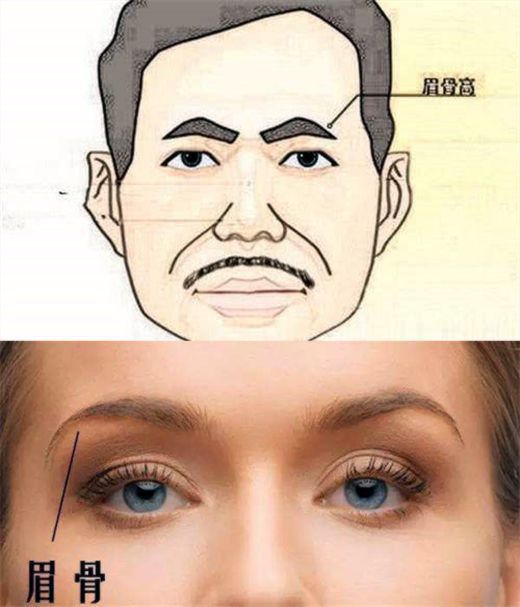 眉骨高低对一个人的面部轮廓太重要了！眉骨高者上镜极占优势