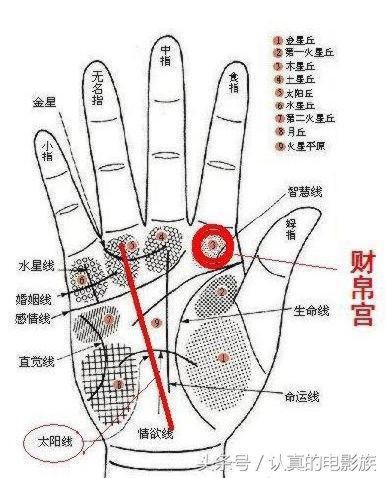 手相财帛宫丰满突起，注定是富贵有福之人