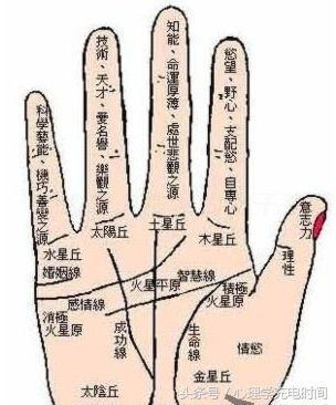 你的食指和无名指哪个长？对照一下，寻找属于你的心理解析