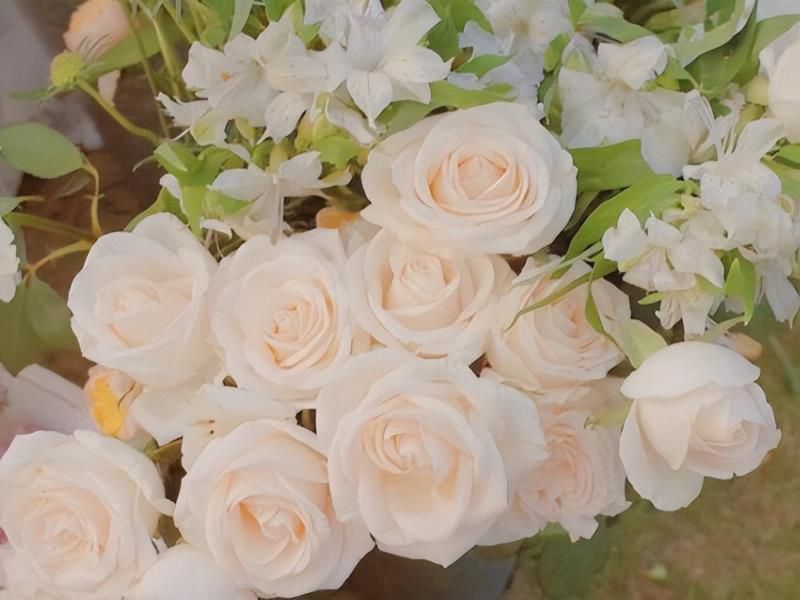 摩羯座比一般人，多长的几个“心眼”，不习惯看表面，又善于止损