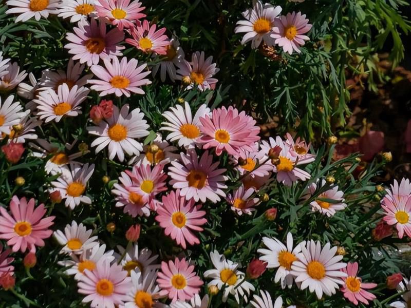 摩羯座比一般人，多长的几个“心眼”，不习惯看表面，又善于止损