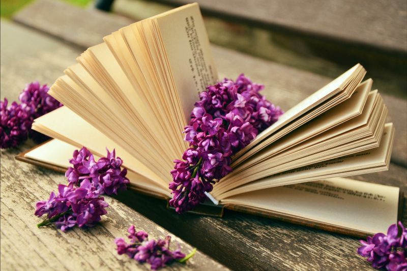 2022年六月份：狮子座整体运势详细解析，好事发生以及注意事项