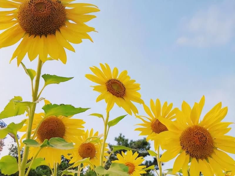 摩羯座比一般人，多长的几个“心眼”，不习惯看表面，又善于止损