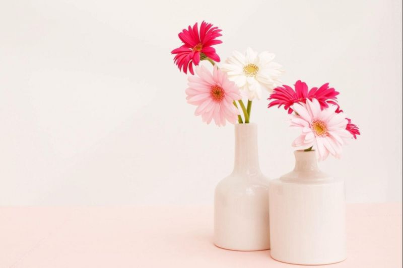 2022年六月份：狮子座整体运势详细解析，好事发生以及注意事项