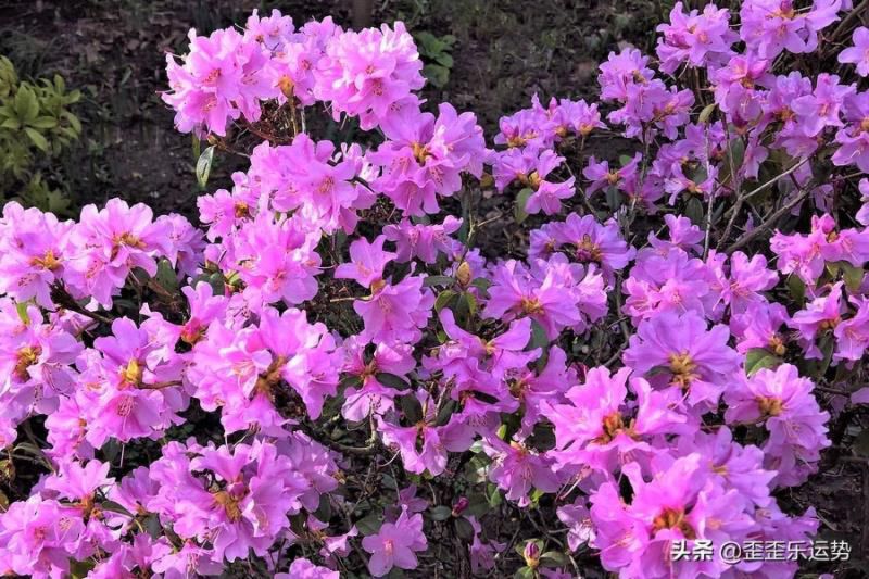 聪明到让人害怕的4个星座女，十分出色，让许多男士都望尘莫及