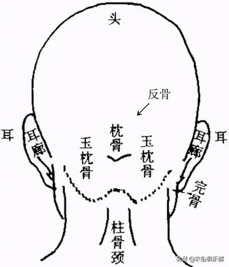 农村常说人有反骨鬼魅不近身，会不幸福，其实就是一种无知的迷信
