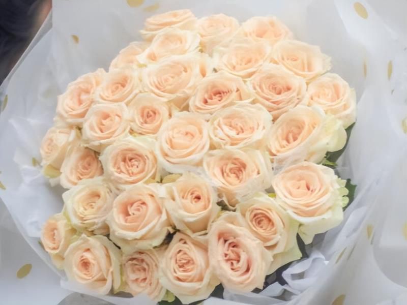 摩羯座比一般人，多长的几个“心眼”，不习惯看表面，又善于止损