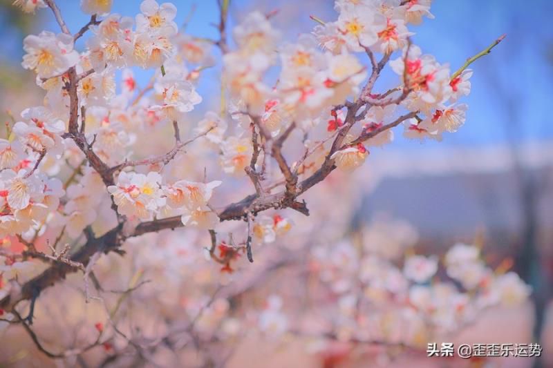 聪明到让人害怕的4个星座女，十分出色，让许多男士都望尘莫及