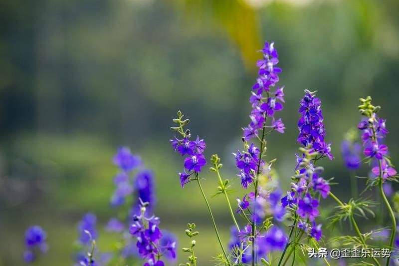 聪明到让人害怕的4个星座女，十分出色，让许多男士都望尘莫及