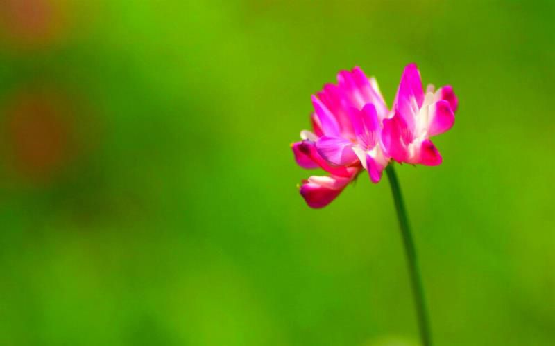 惹不得，更惹不起，摩羯座的低调并不是服软，他们的震慑力大着呢