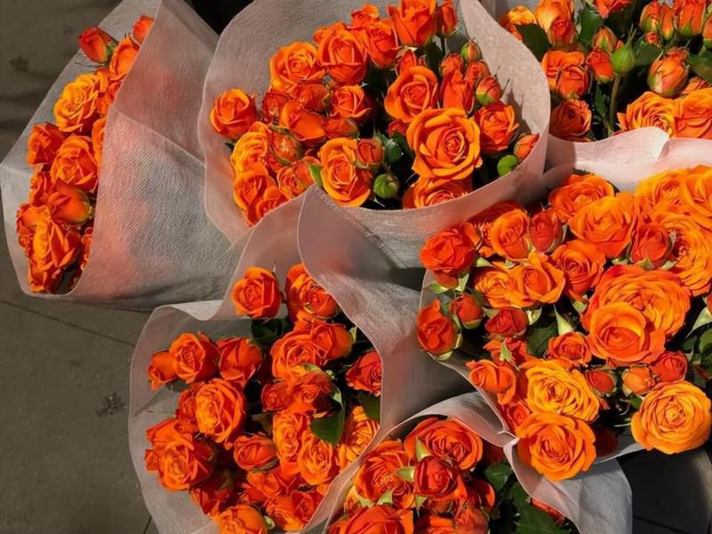 摩羯座比一般人，多长的几个“心眼”，不习惯看表面，又善于止损