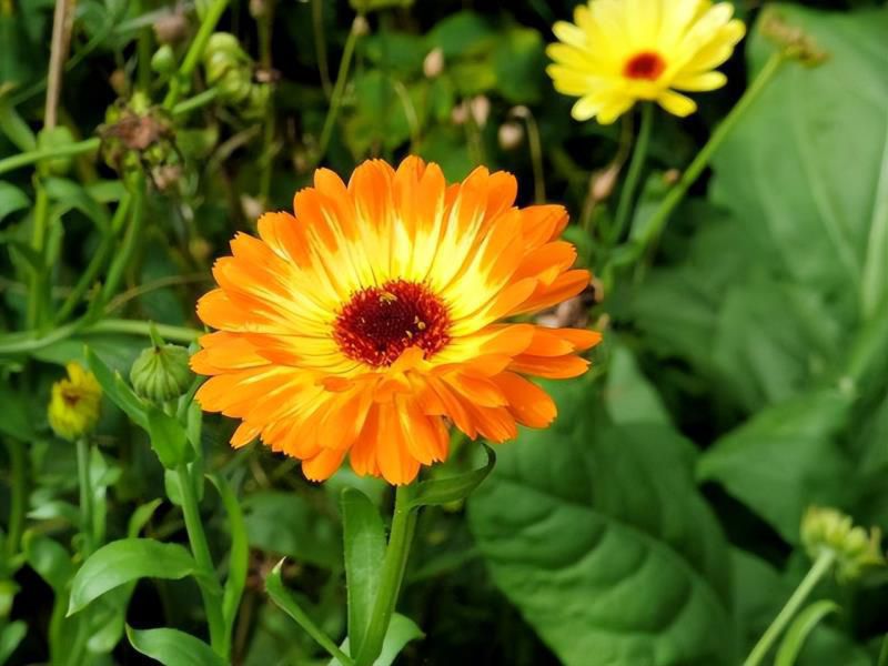 很注重外在形象的星座女，有品位、识大体，拥有独特的魅力