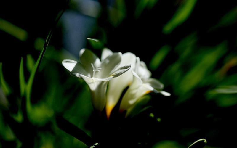 惹不得，更惹不起，摩羯座的低调并不是服软，他们的震慑力大着呢