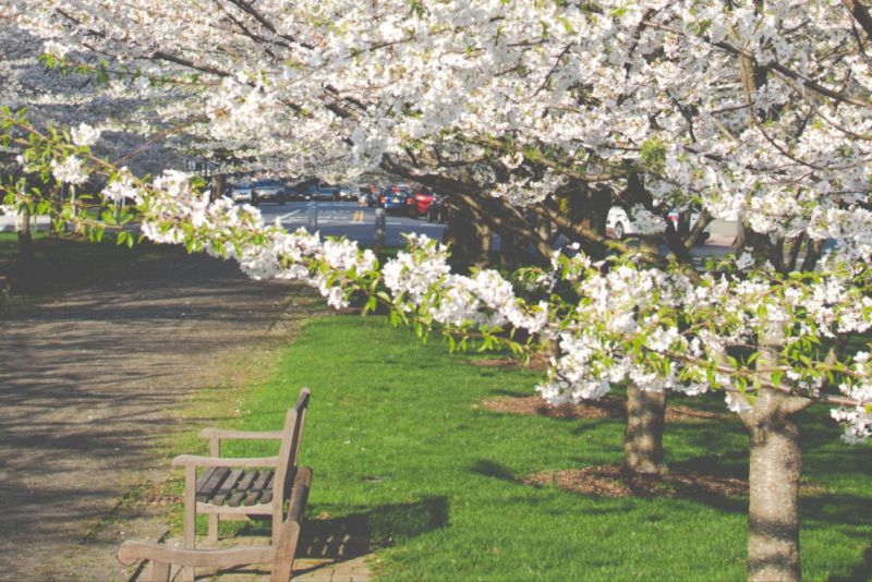 渣男都玩不过的星座女，智商情商双高，冰雪聪明，懂得保护自己