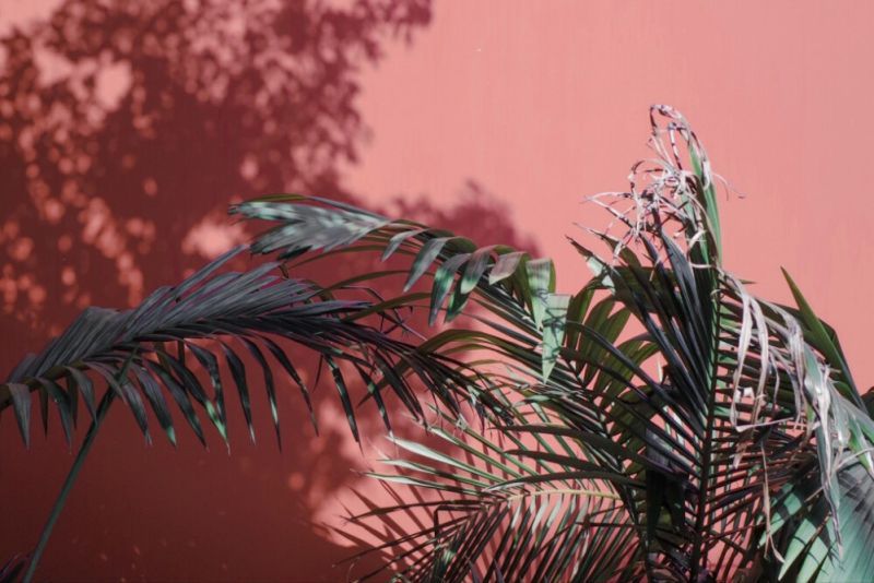 渣男都玩不过的星座女，智商情商双高，冰雪聪明，懂得保护自己