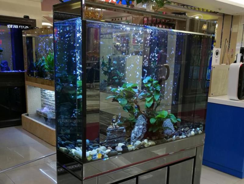 老祖宗说“有七种东西不能送人”，到底是哪7种呢？有没有道理？