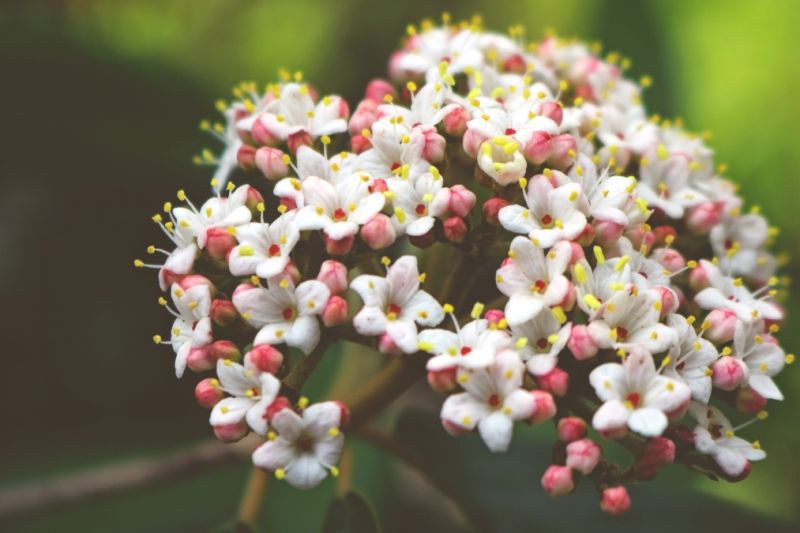 2022年六月份：狮子座整体运势详细解析，好事发生以及注意事项