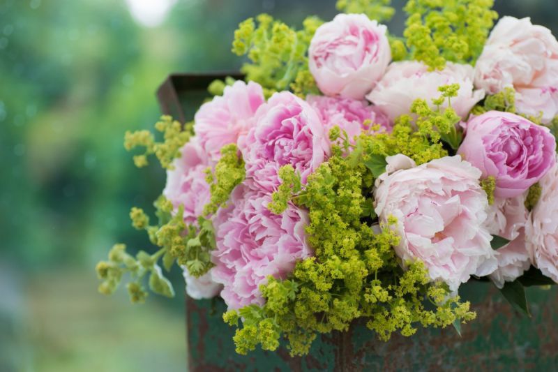 2022年六月份：狮子座整体运势详细解析，好事发生以及注意事项