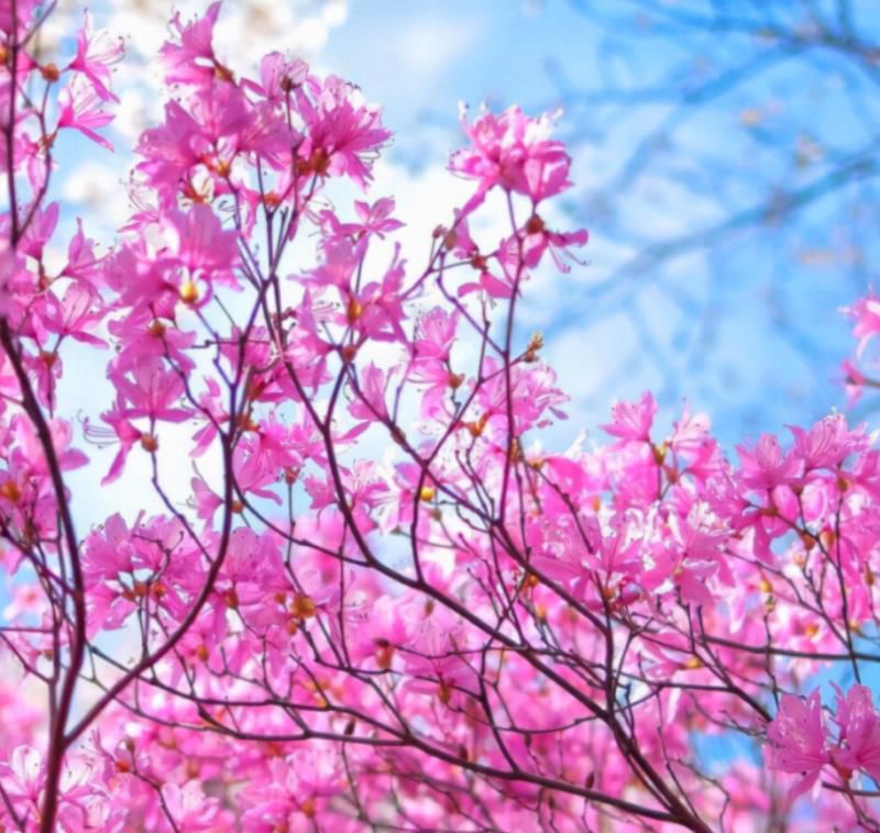 明年，4个星座女，有钱有颜，不缺人爱，走到哪都是人群焦点