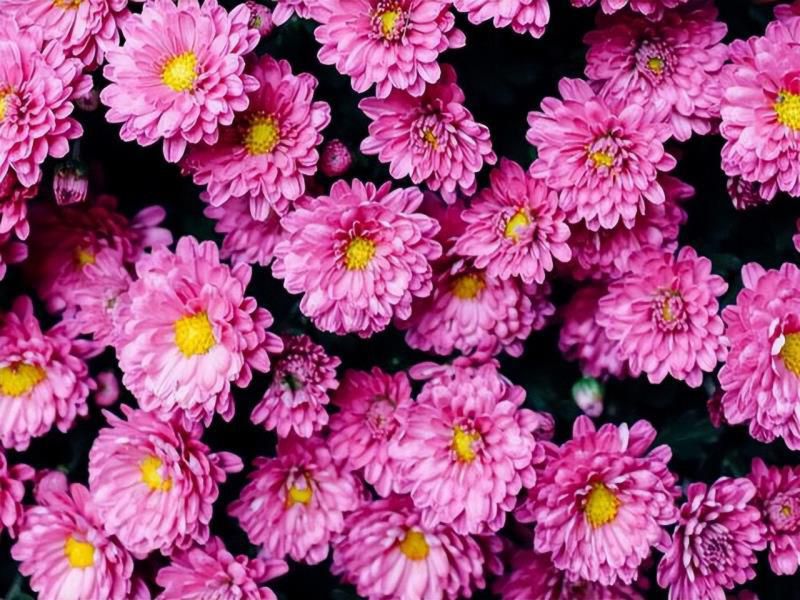 走心的水瓶座，在感情中，会有哪些特质？念念不忘，必有回响