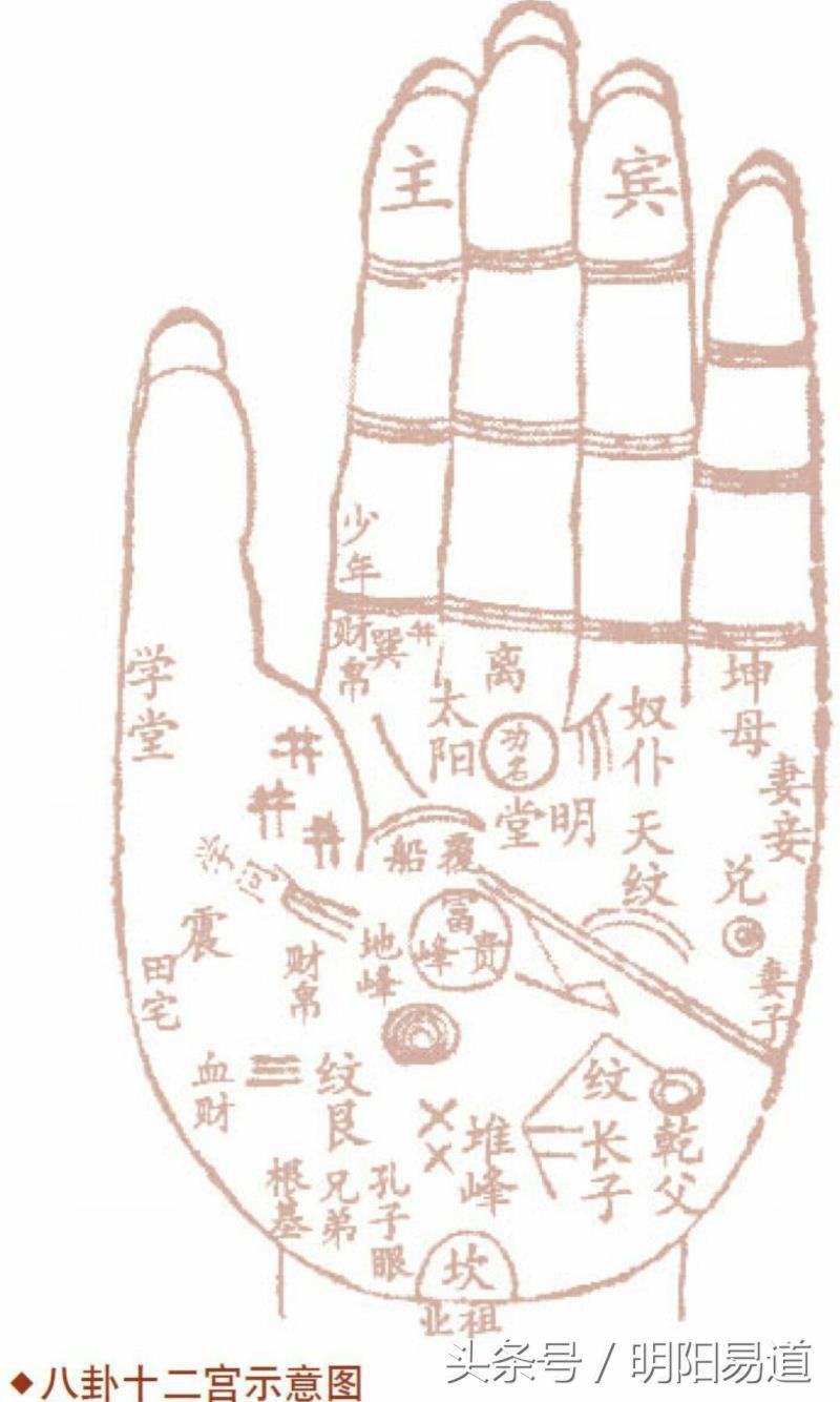 秒懂手相：从神秘十字纹看人生运势