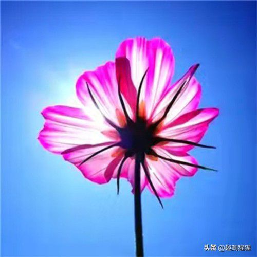 声音超级好听的五大星座，看看你上榜没有？